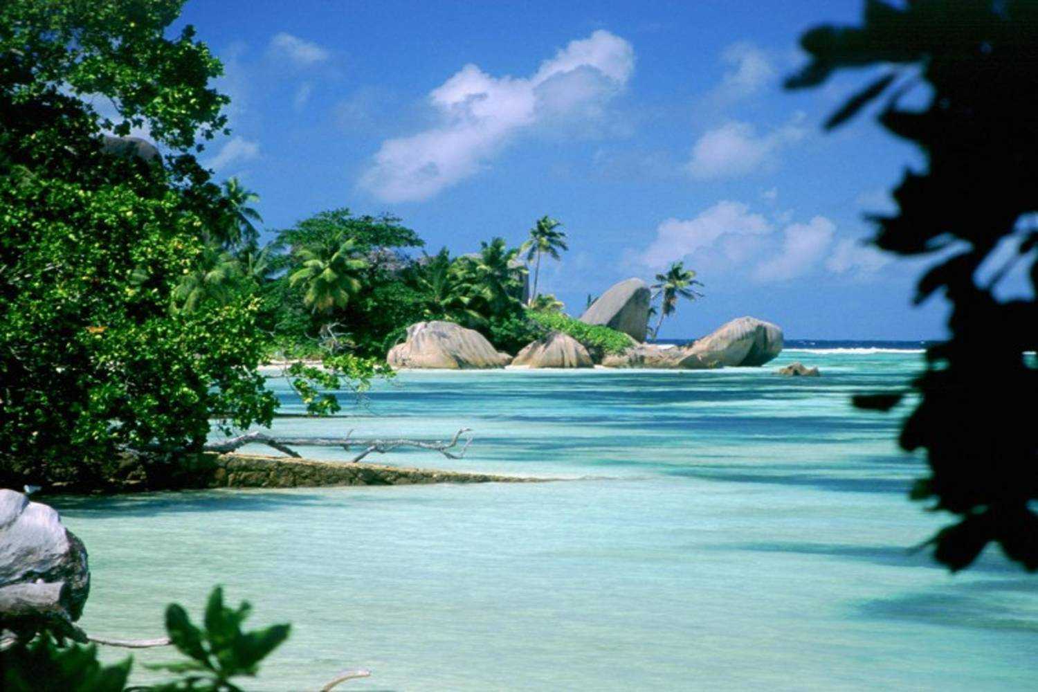 Экзотическая природа. Остров Альдабра Сейшельские острова. Атолл Альдабра Сейшельские острова. Тайланд Сейшельские острова. Альдабра индийский океан.